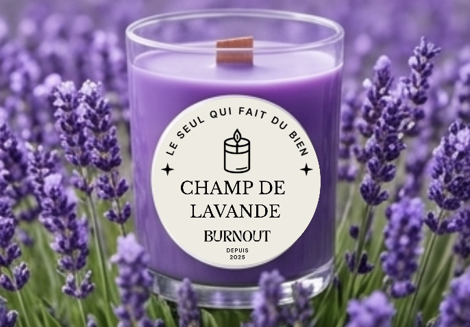 Champ de lavande